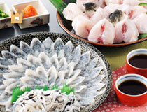 とらふぐ刺身とふぐちりセット